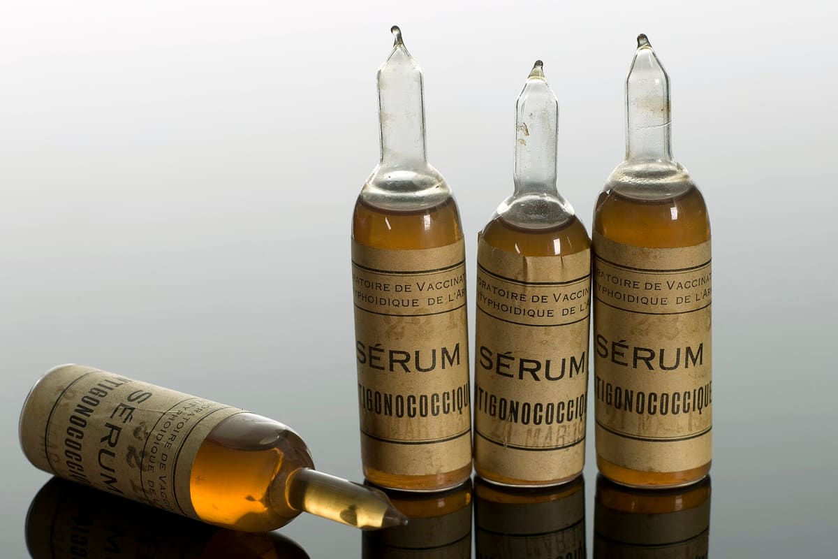 Drei bauchige Glasampullen mit gedruckten Etiketten auf spiegelnder Fläche