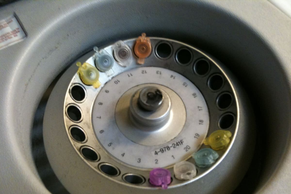 Rotor einer Mikrozentrifuge mit Röhrchen
