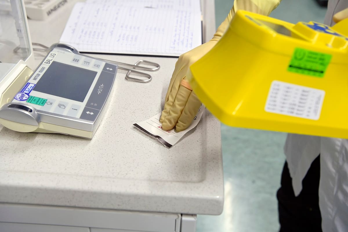 Tragbares Analysegerät mit Anzeigefeld neben Probenmaterial
