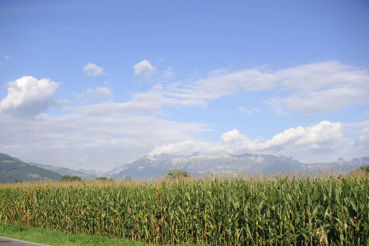Alpenlandschaft mit Bergpanorama