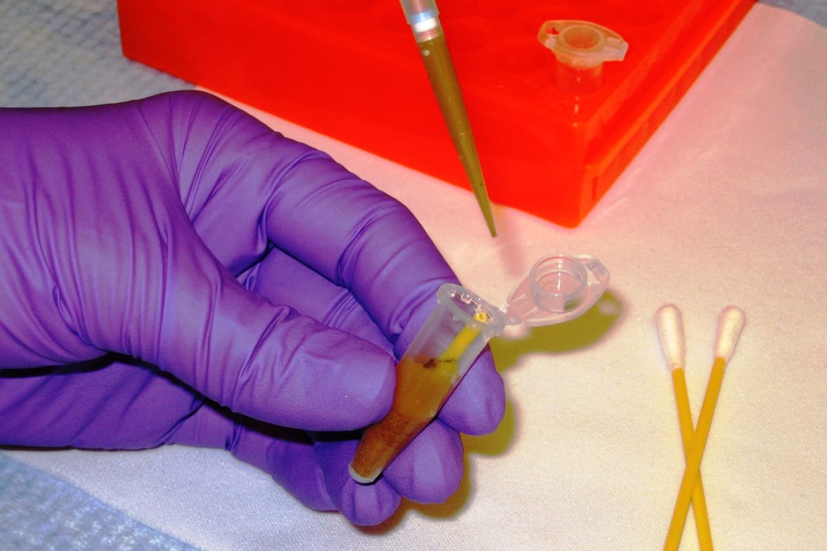 Labortechniker bei der Arbeit mit einer Pipette