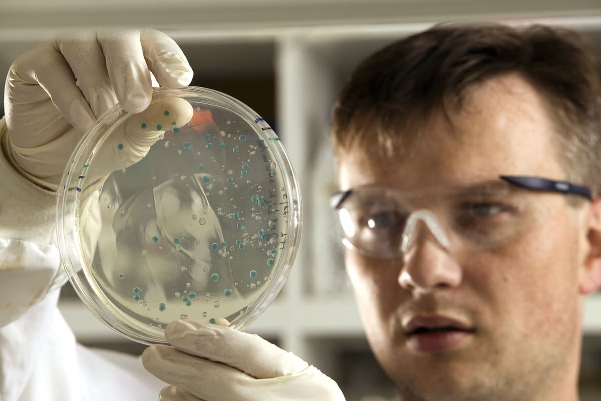Wissenschaftler mit Schutzbrille prüft eine bewachsene Kulturschale