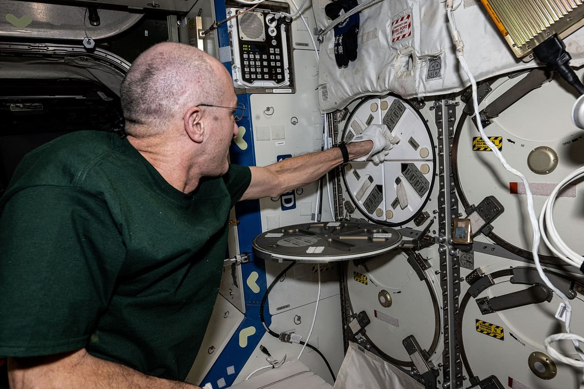 Astronaut verstaut biologische Proben in einem Wissenschaftsgefrierschrank